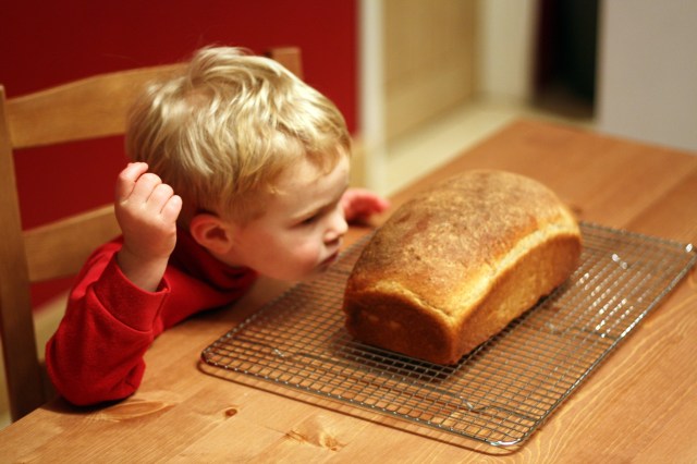 Smelling the Bread